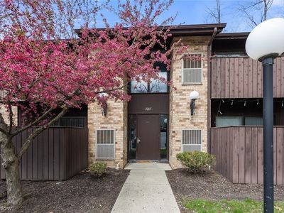3265 Mayfield Rd APT 31