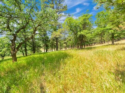 Ticklegrass Rd Lot 39