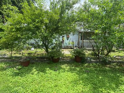 528 Browns Ferry Rd