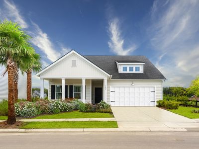 1002 Lettered Olive Ln