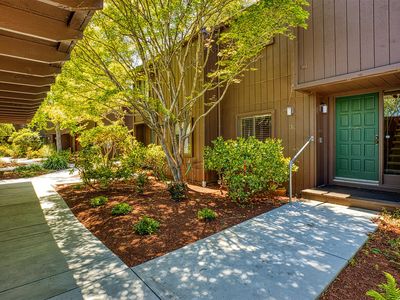 138 Tree Frog Ln