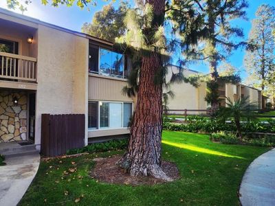 1212 Llama Ct