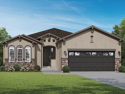 Palazzo #005 Plan, Meridian Ranch