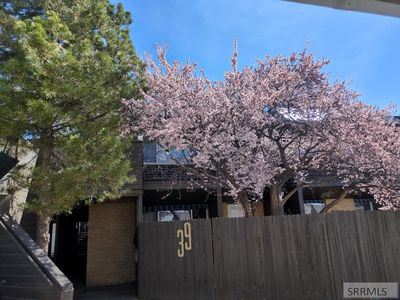 220 N Fanning Ave APT 39