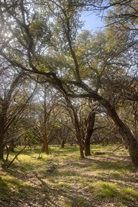 4314 County Road 108