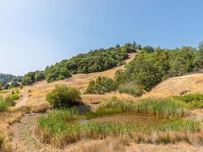 59665 Bell Springs Road