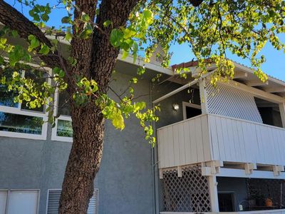 1300 Saratoga Ave Unit 807