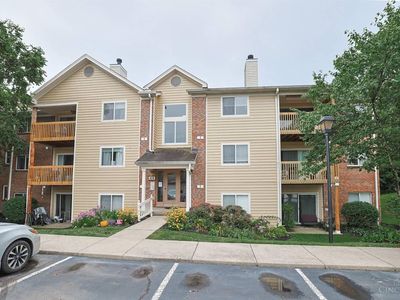 979 Cedar Ridge Dr APT 11