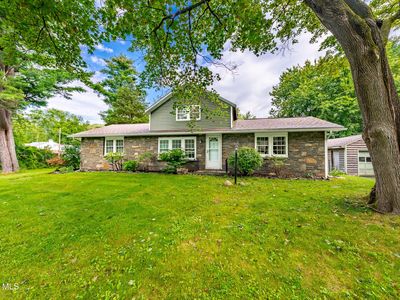 233 Elm Avenue
