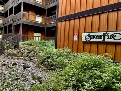 10 Aspen Street 205A #205A
