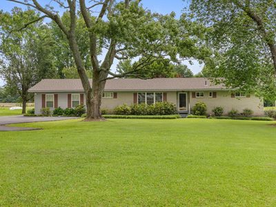 260 County Road 231