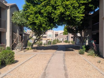 17017 N 12TH Street #1036