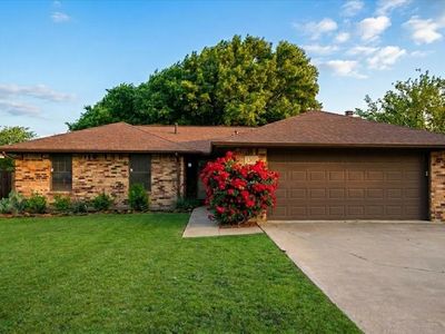 504 Bluebird Ln