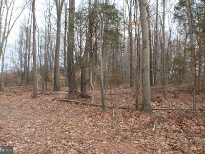 Property at 3754 Oscars Pl, Nanjemoy, MD