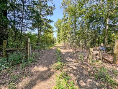 Property at 475 County Road 4248, Bronson, TX