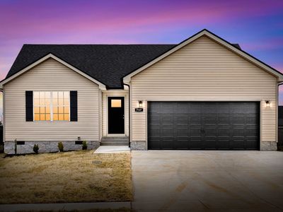 333 Tisha Ct Lot 590