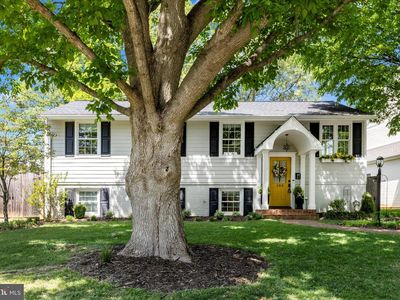 103 North St