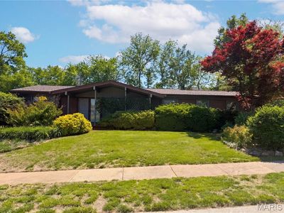 1440 Tina Dr