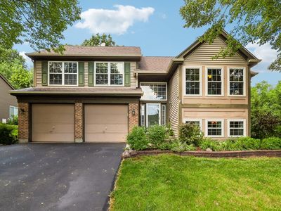 Property at 442 Harbor Dr, Carpentersville, IL