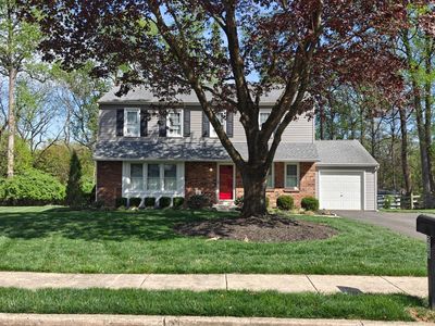 215 Elton Cir