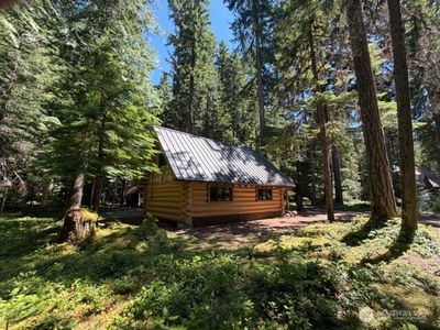 141 USFS Silver Springs FS RD 7175