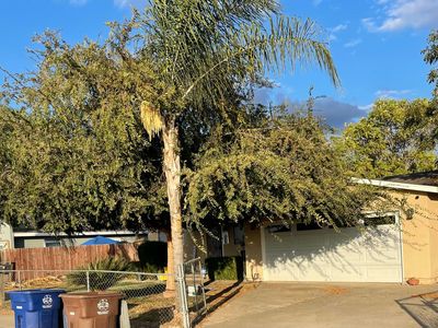 392 S Ventura Avenue