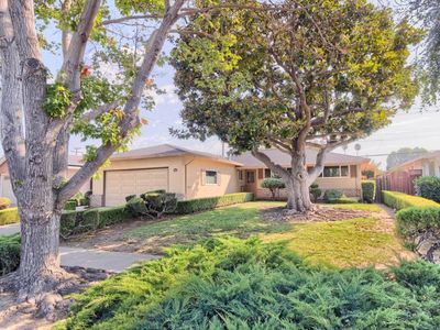 2466 Meridian Ave