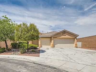 7141 Longhorn Cattle St