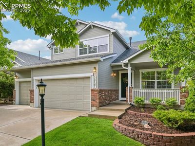 3527 Painted Daisy Ct