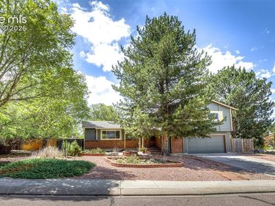 465 Silver Spring Cir