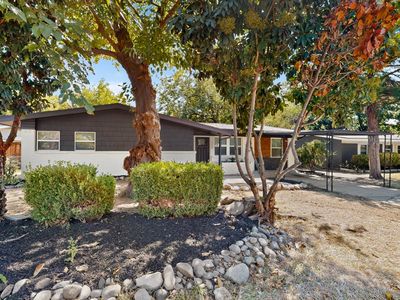 206 W Ridgewood Dr