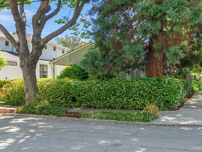 991 Lincoln Ave