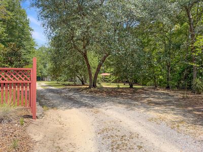 349 Bird Dog Ln