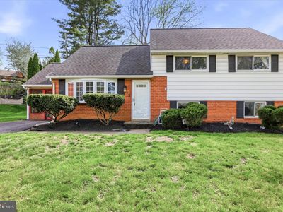 411 Lori Ln