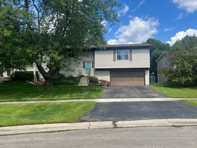 146 Ridgewood Ct