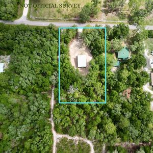 Property at 288 NE 453rd Ave, Old Town, FL