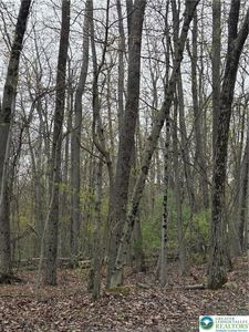 Property at 8847 Bake Oven Rd, Germansville, PA