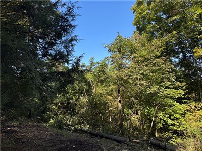 450 Mount Thor Rd
