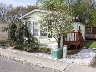 46 Seattle Slew Drive