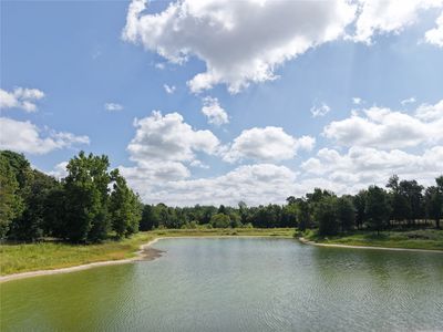 961 County Road 484