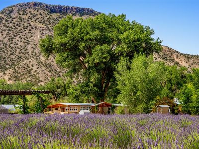 Purple Adobe Lavender Far 25 Private Dr #1622