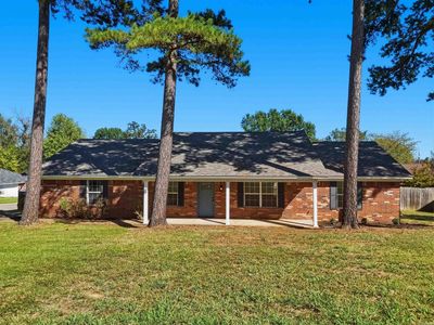 297 Vanita Loop