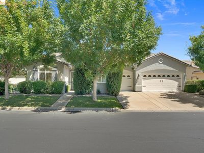 1161 Bacchini Ln
