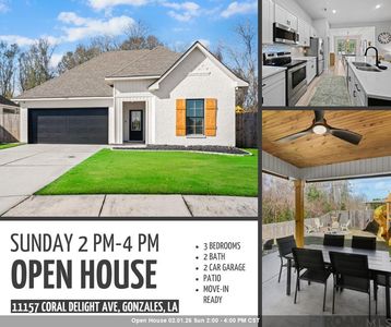 11157 Coral Delight Ave