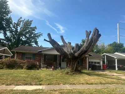 2216 Foggy Bottom Dr