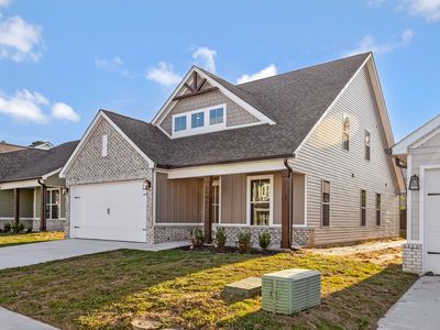 The Daisy Plan, James Creek