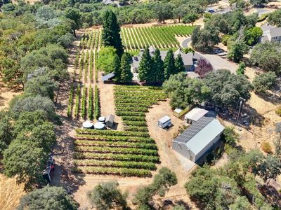 1781 Rocky Springs Ct