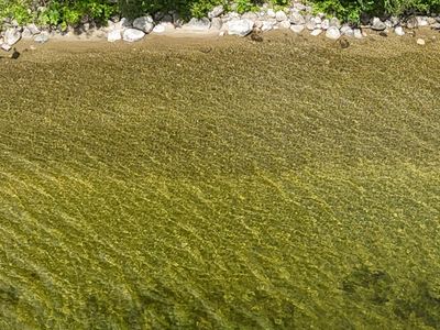 Property at 14-B Little Buck Drive, West Enfield, ME