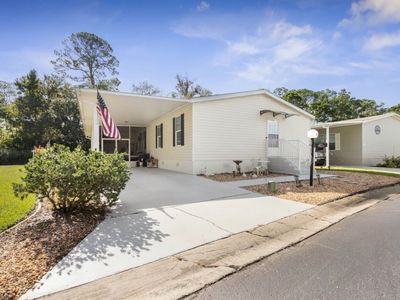 54 Long Needle Ct