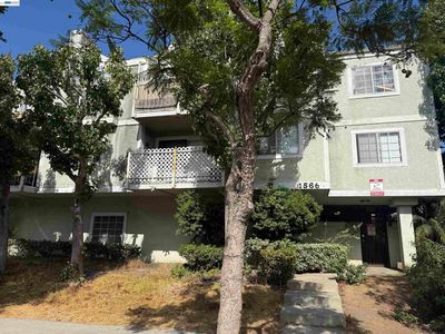 1566 Pine Ave APT 103A